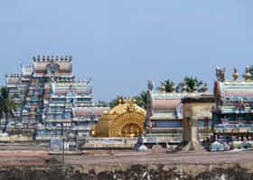 Visit the Sri Ranganatha Swamy Temple