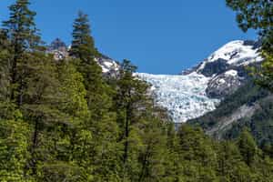 Cycle past the Yelcho glacier & native forests