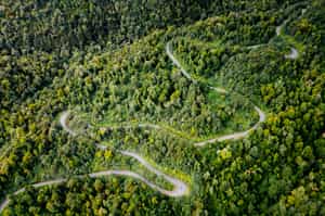 Explore the Queulat National Park scenery on a bike 