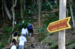 Hike up the Morro da Urca Trail, Rio de Janerio