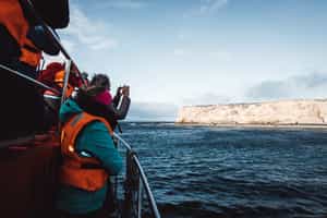 Visit many islets on a cruise from Punta Arenas
