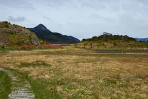 Explore Wulaia Bay on a hike