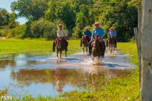 Explore the Vazante Castelo on a horseback