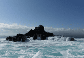 Visit Roca Unión, a small island full of life