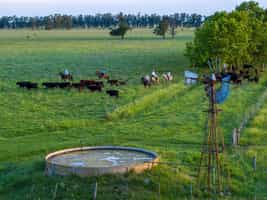 Explore La Bandada on a horseback with a guide