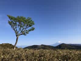 Hike the trails of Mount Daruma