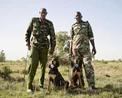 Learn about the K9 anti-poaching team in Laikipia