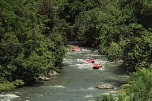 Go white water rafting in Ubud