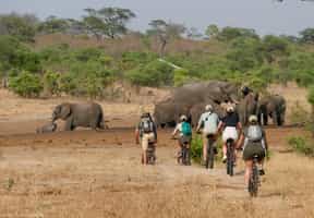 Go mountain biking in Hwange