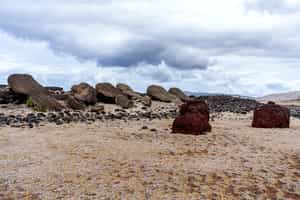 View a variety of toppled Moais of Ahu Vaihu