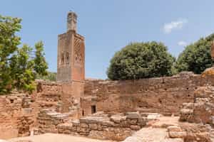 Tour the Chellah Necropolis