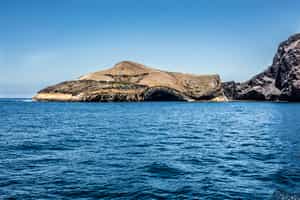 Snorkeling in Punta Vicente, Fernandina Island