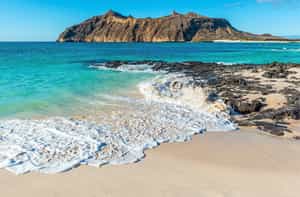 Explore the white coral sand beach at Witch Hill 