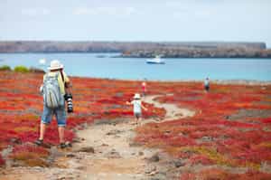 Hike to unique lookouts within the Galapagos