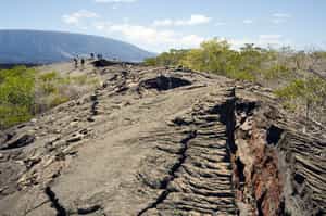 Discover the lava fields of the Galapagos islands