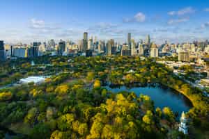 Explore Bangkok’s Green Lung oasis by bike