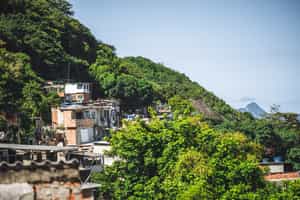 Learn about Rio's history on a Babilonia tour