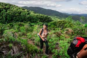 Trek the forest trails of Ilha Grande