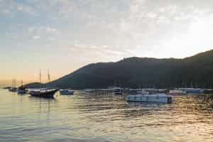 Take a private boat trip in Ilha Grande