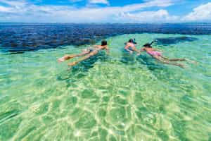 Snorkel in the crystal waters of Ilha Grande