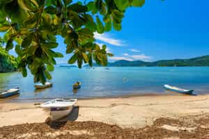 Discover the white sandy beaches of Paraty 