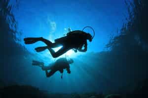 Scuba dive in the waters of Fernando de Noronha