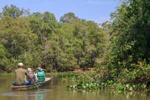 Take a canoe tour in Northern Pantanal