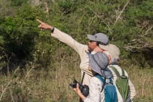 Learn about flora and fauna in Northern Pantanal