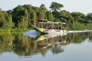 Go on a boating safari in Southern Pantanal 