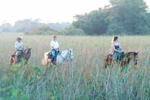 Explore Southern Pantanal on horseback