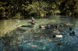 Snorkel in the clear rivers of Southern Pantanal