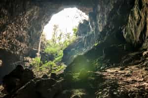 Explore the caves of Southern Pantanal