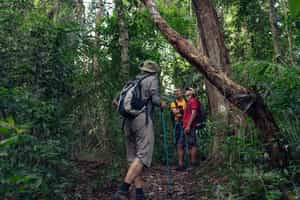 Learn about the flora and fauna of Bonito
