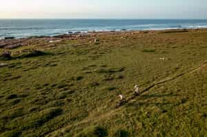 Explore the Mkambati Nature Reserve on a mountain bike
