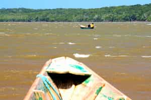 Go on a boating safari down Parnaíba River Delta