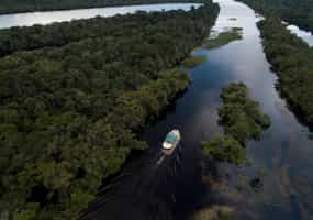 Go on a boating safari on the Amazon river