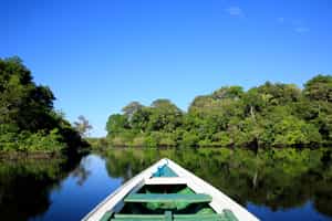Take a canoe out to explore the Brazilian Amazon