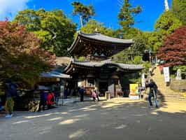 Go on a Hike on Mt. Misen from Hiroshima