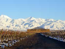 Explore the boutique Bodega Sophenia