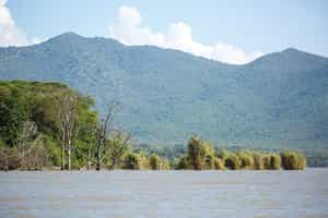 Take a boat ride on Lake Chamo