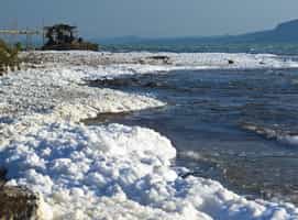 Visit Lake Afrera, a hypersaline lake 