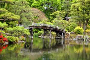 Go on a self-guided tour through Kyoto's gardens