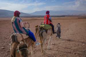 Go on a camel ride in Agafay Desert from Marrakesh