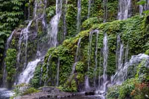 Walk through the farms and forests of Munduk