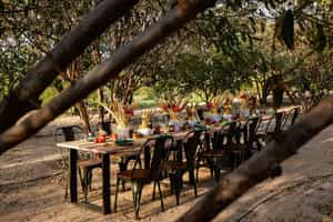 Enjoy farm-to-table dining in Jodphur