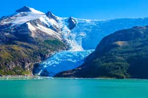 See Glacier Alley on a cruise from Punta Arenas