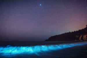 Witness bioluminescent waters in Bocas del Toro