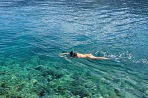 Snorkel through Panama's coral reefs
