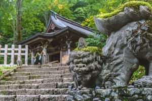 See the Togakushi Shrine in Nagano