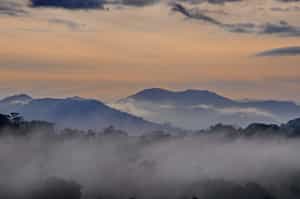 Make a stop at Carara National Park